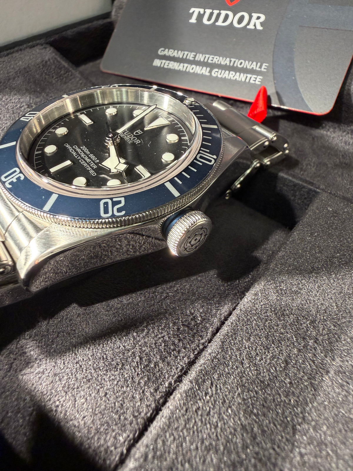 Tudor Black Bay