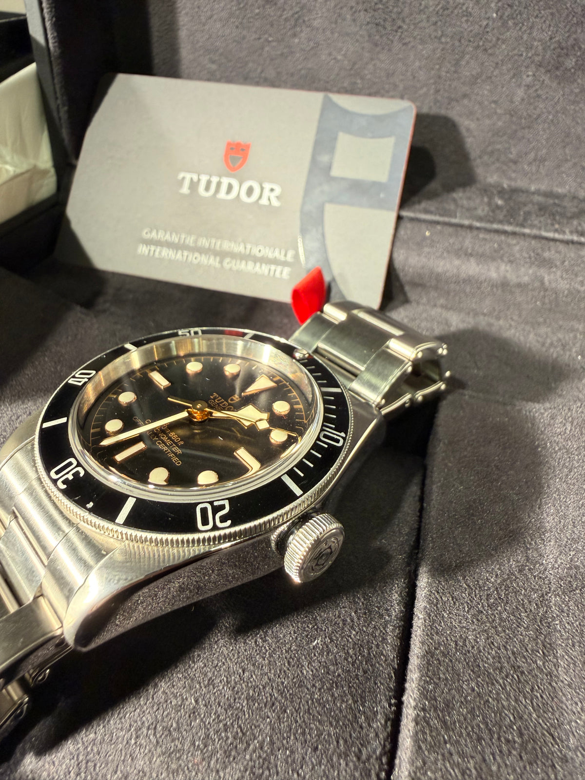 Tudor Black Bay