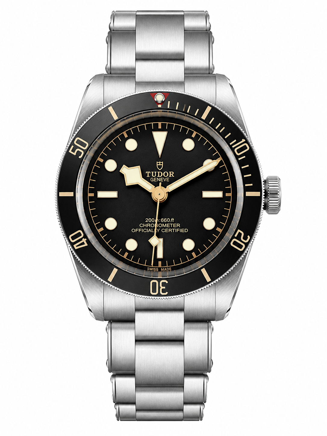 Tudor Black Bay