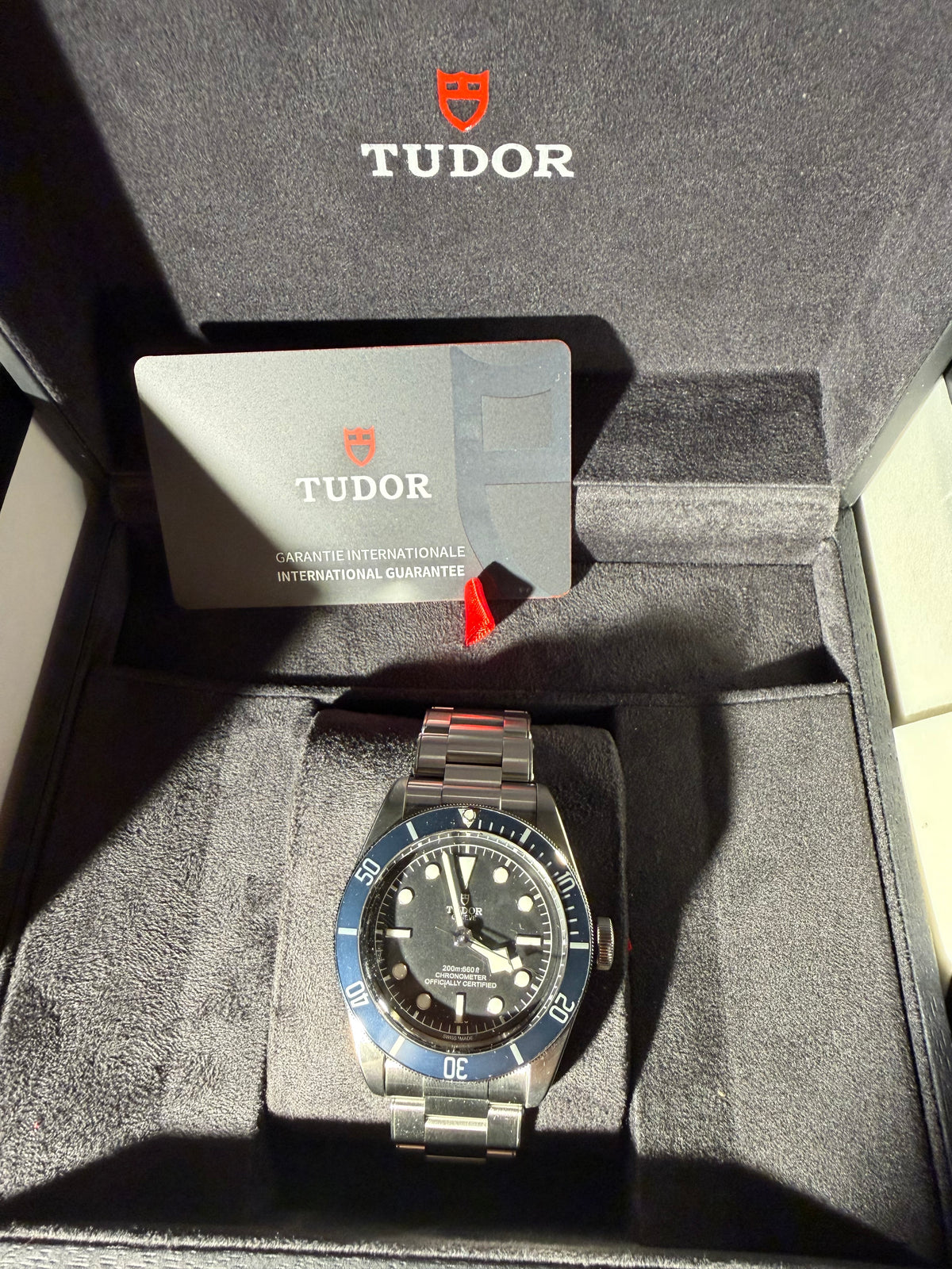 Tudor Black Bay