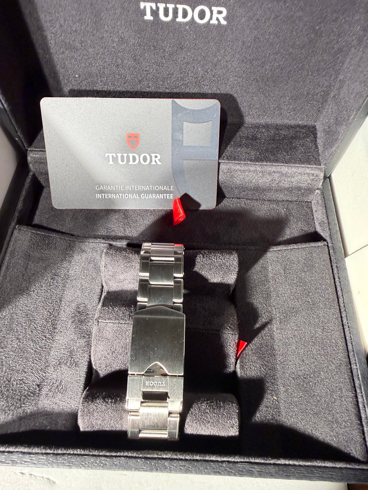 Tudor Black Bay