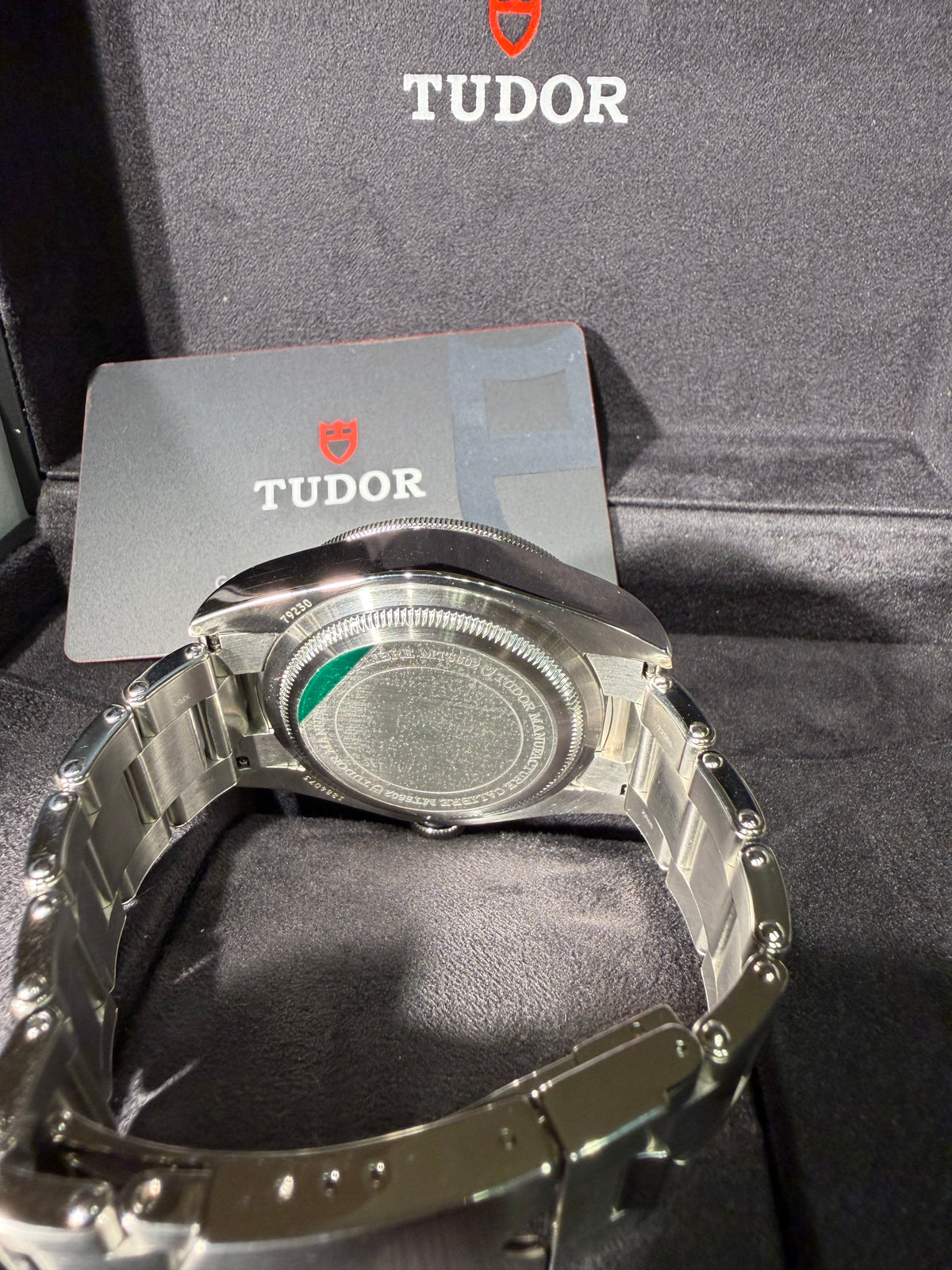 Tudor Black Bay