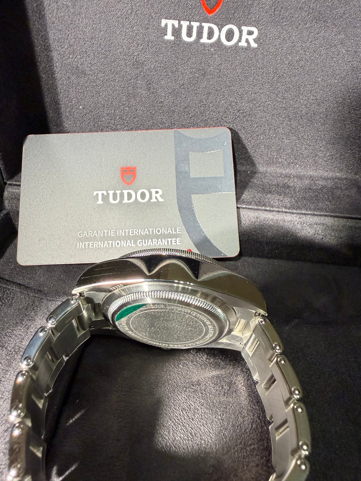 Tudor Black Bay