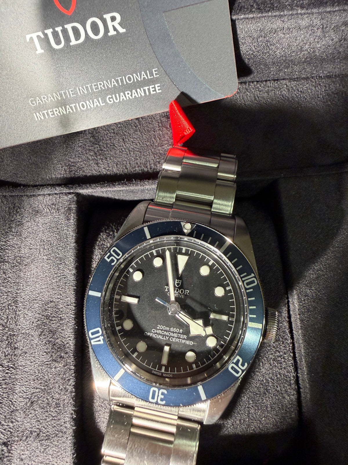 Tudor Black Bay