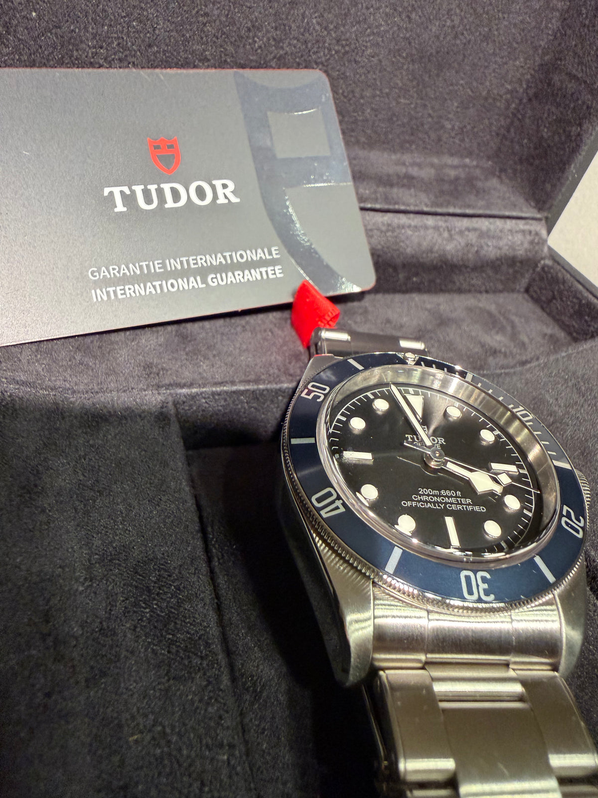 Tudor Black Bay
