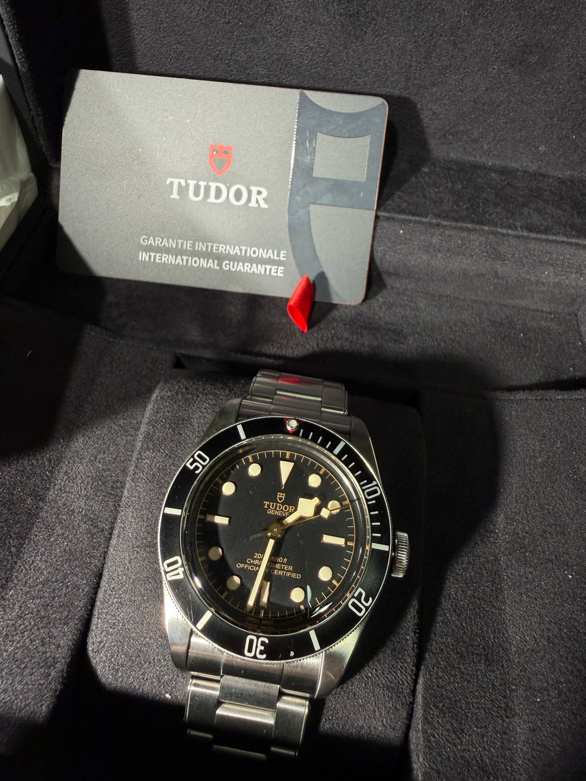 Tudor Black Bay