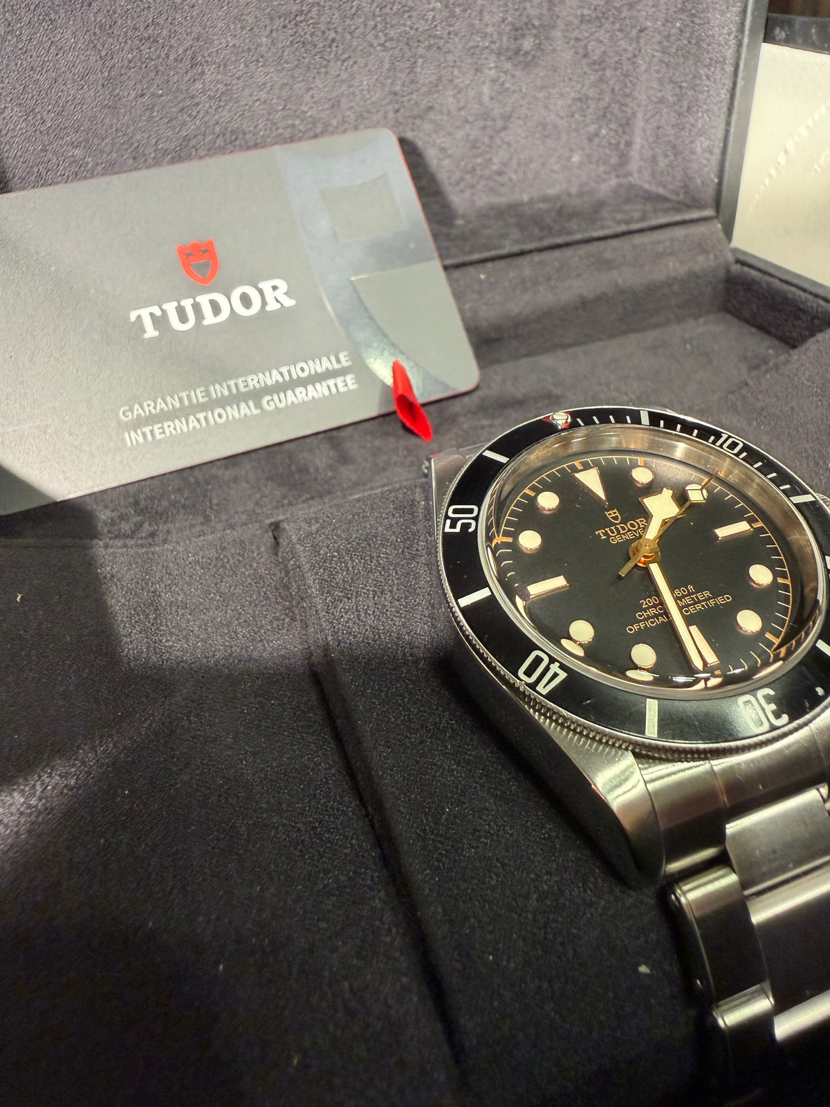 Tudor Black Bay