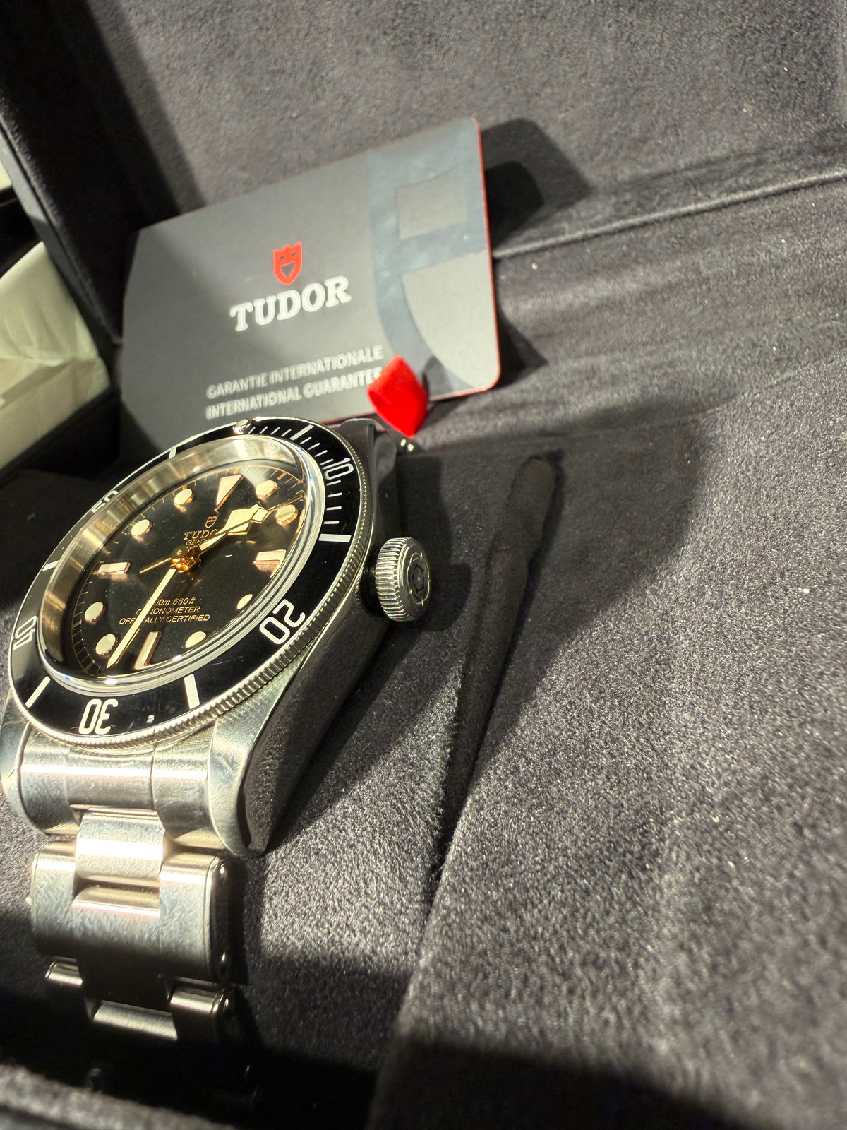Tudor Black Bay