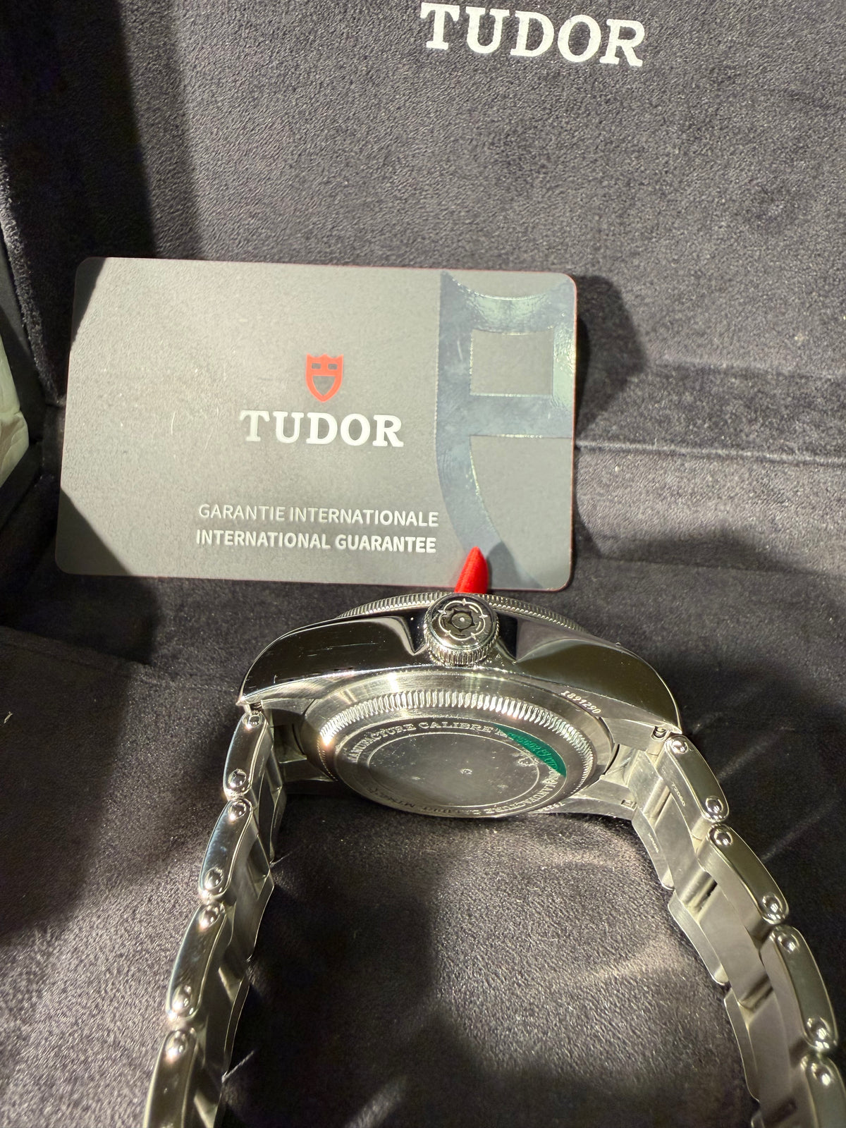 Tudor Black Bay