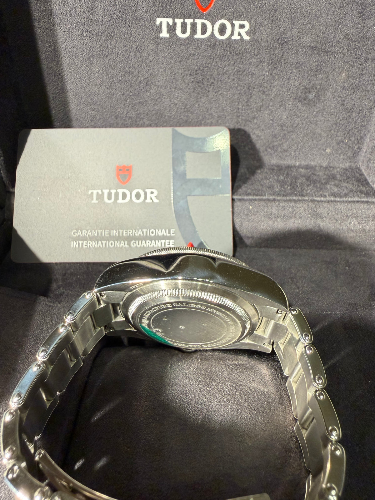 Tudor Black Bay