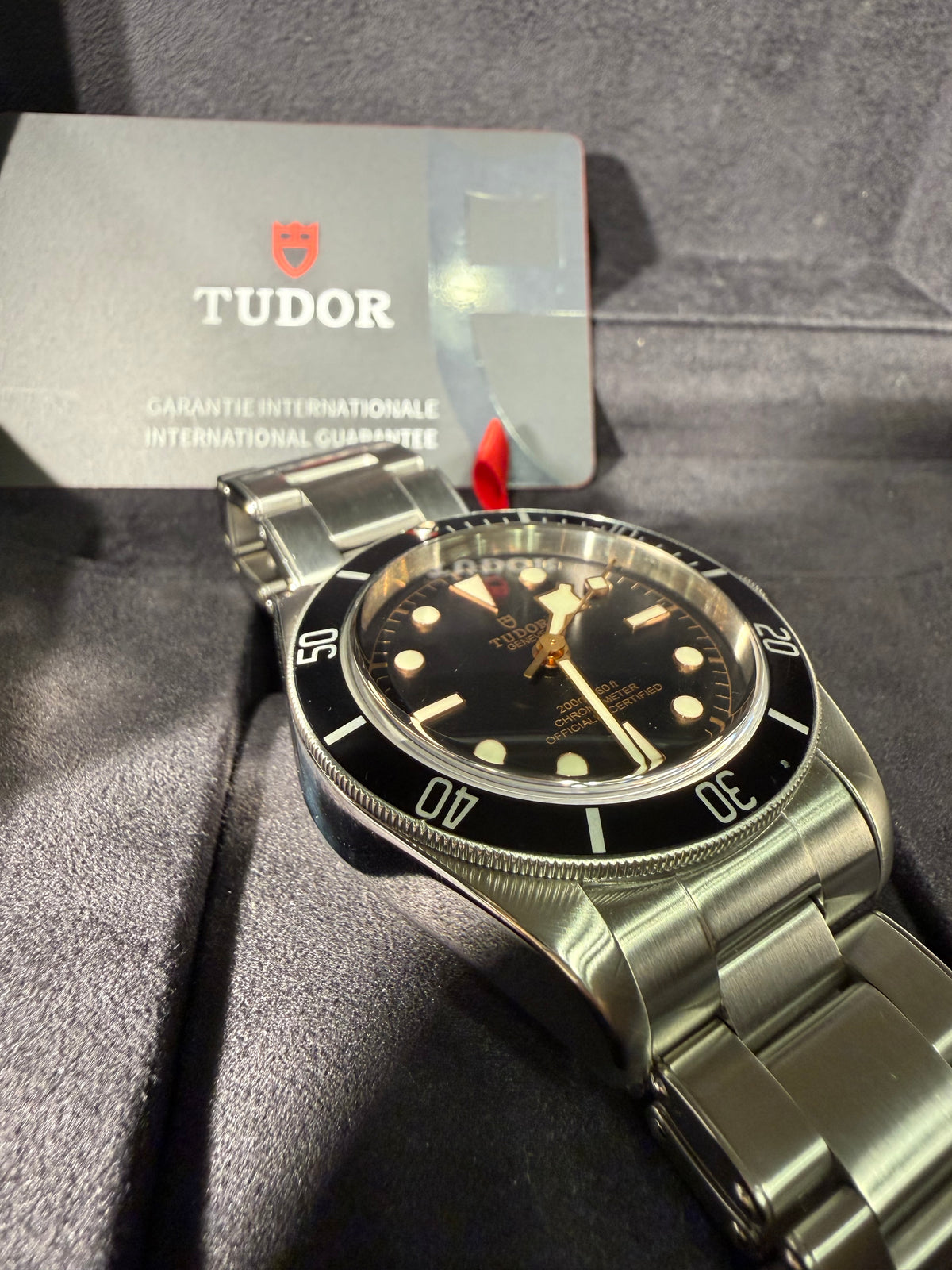 Tudor Black Bay