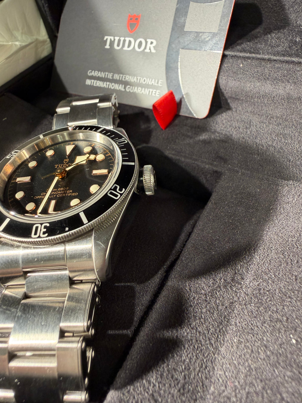 Tudor Black Bay