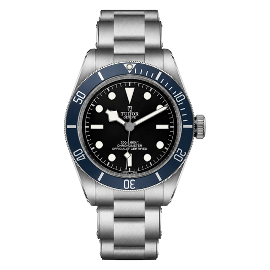 Tudor Black Bay